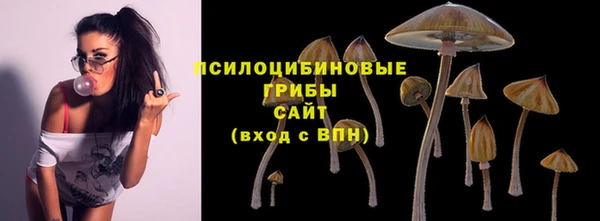 мескалин Вяземский